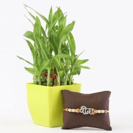 Rakhi With Lucky Bamboo