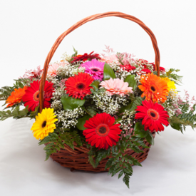 15 Mixed Gerbera with Basket