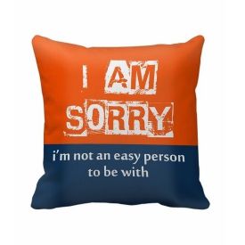 I Am Sorry Cushion with filler