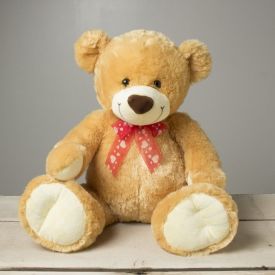 Valentine Teddy Bear