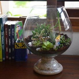 Cheers For Green Terrarium