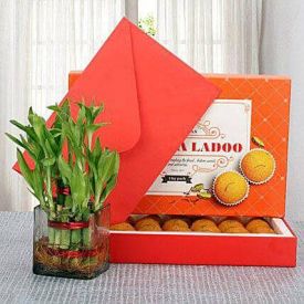 MotiChoor Laddu with Bamboo