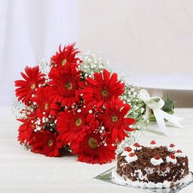 Red gerbera with black forest cake