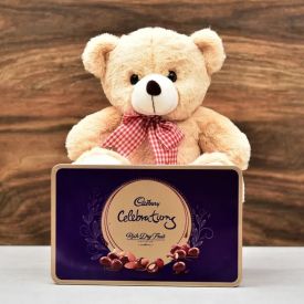 Teddy Bear N Celebration Pack