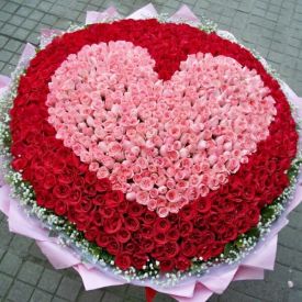 Heart Shape Roses Garden