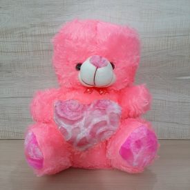 Pick Cute Teddy