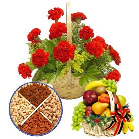1/2 kg Dry fruits 15 flowers(mixed carnation) basket with fresh fruits 3 kg