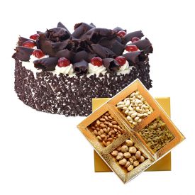 My Yummy Cake | Order/Send Best Dry Fruit Cakes Online in Noida