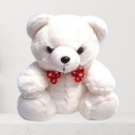 12 Inch Teddy Bear