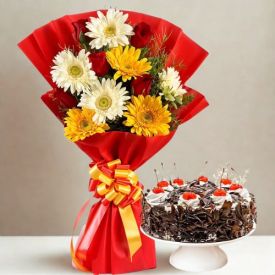 Mixed Gerbera With Truffle Cake