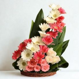 Mixed gerbera with Basket