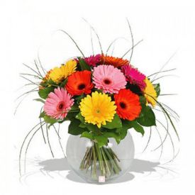 Mixed Gerbera in Vase