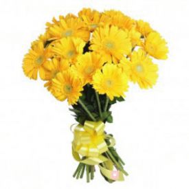 20 Yellow Gerbera