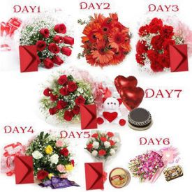 Valentines Day - 7 Day Special Gifts