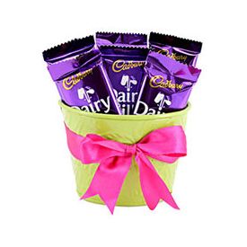 6 Dairy Milk of 16.2 grams.