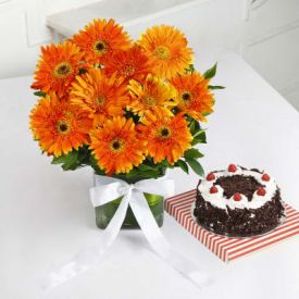 Orange Gerberas With Cake