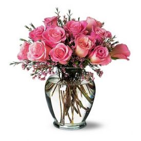 12 Pink roses with vase
