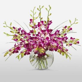 Purple Orchids in Vase