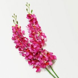 Simply Chic Long Orchid Pink Bunch
