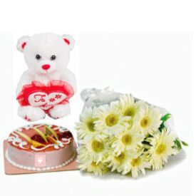 12 White Gerberas with Teddy & Half Kg Vanilla Cake