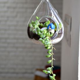 Hanging Pear-shaped Terrarium