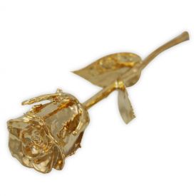 Gold Rose 6 Inches