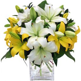 Yellow and white lilies