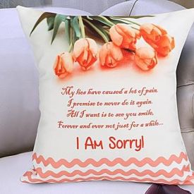 Sorry Cushion