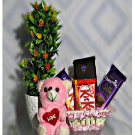 Basket of Chocolate with teddy