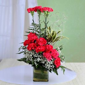 Carnations Arrangement