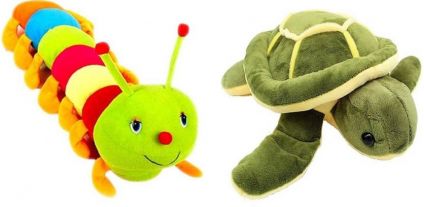 Caterpillar N Turtle Soft Toy