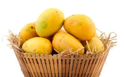 Basket of 10 Kg Mango