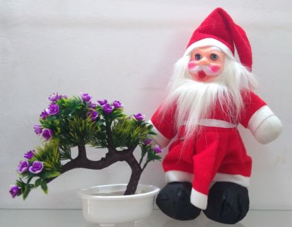 Santa Claus with Christmas artificial Plant