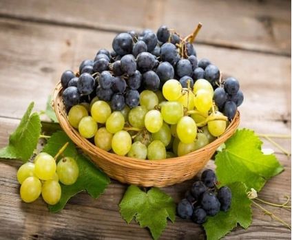 2 Kg Grapes with Basket