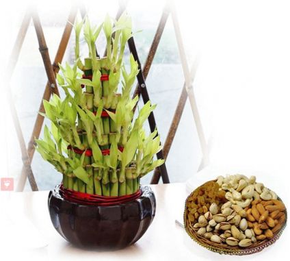 Basket of 1 Kg mixed dry fruits with bamboos