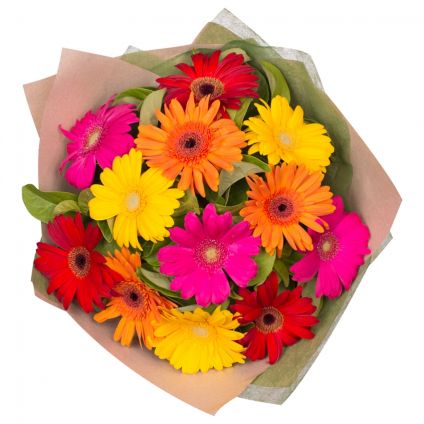 Gerbera Mixed