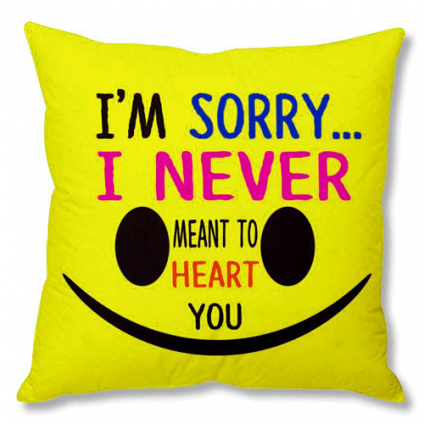 sorry cushion with filler