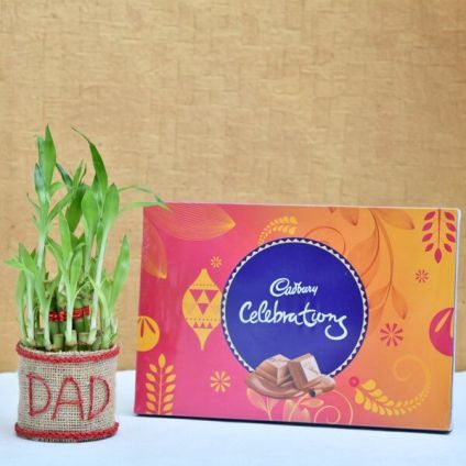 Lucky Bamboo with Chocolate for DAD