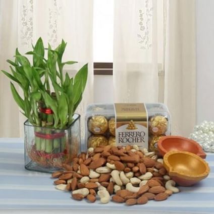 Dry Fruits, Chocolates, Plants