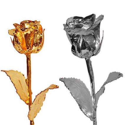 Golden Rose N Silver Rose