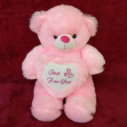20 Inch Pink teddy bear