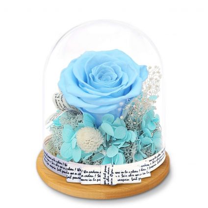 Forever Sky Blue Rose