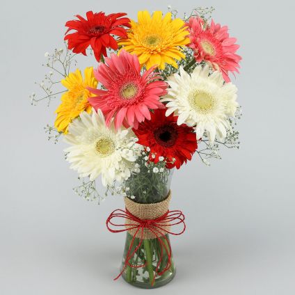 12 Mixed Gerbera with Vase