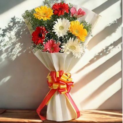 Gerbera Mixed