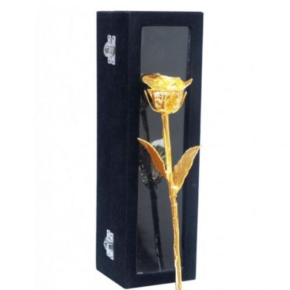 Golden Rose N Box