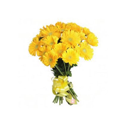 20 Yellow Gerbera