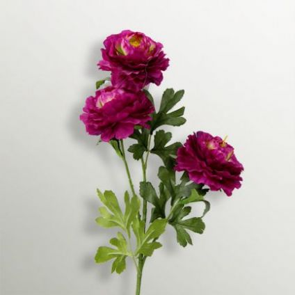 Ranunculus Flower Stick