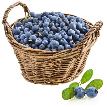 2 Kg Blue Berry (Jamun) with Basket