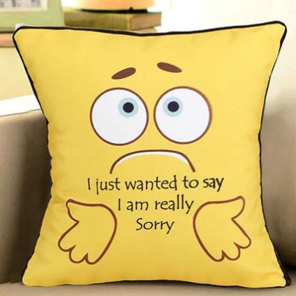 Say Sorry Cushion