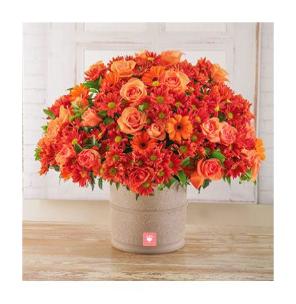 Orange Sprays Gerberas and Roses